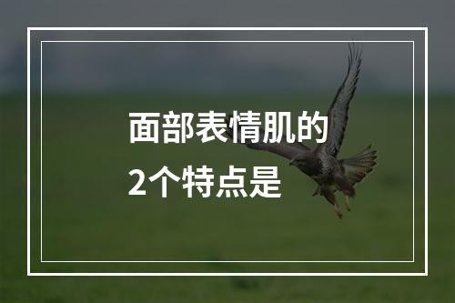 面部表情肌的2个特点是