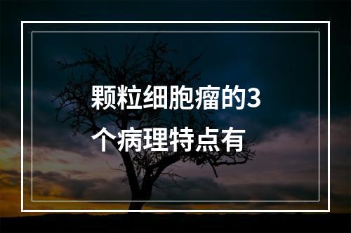 颗粒细胞瘤的3个病理特点有