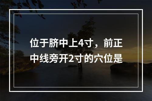 位于脐中上4寸，前正中线旁开2寸的穴位是