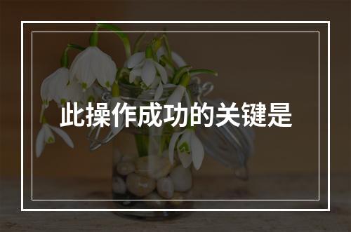 此操作成功的关键是