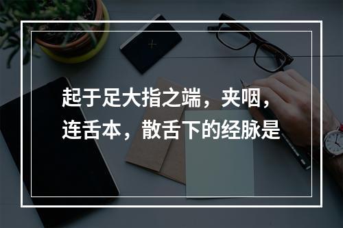 起于足大指之端，夹咽，连舌本，散舌下的经脉是