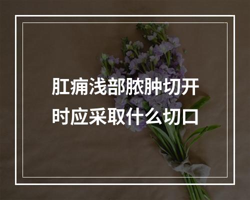 肛痈浅部脓肿切开时应采取什么切口