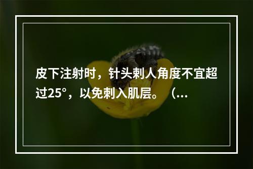 皮下注射时，针头剌人角度不宜超过25°，以免刺入肌层。（）