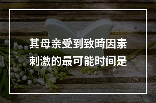 其母亲受到致畸因素刺激的最可能时间是