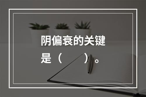 阴偏衰的关键是（　　）。