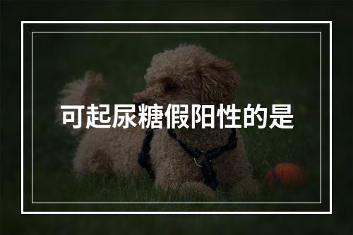 可起尿糖假阳性的是