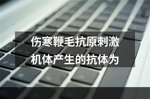 伤寒鞭毛抗原刺激机体产生的抗体为