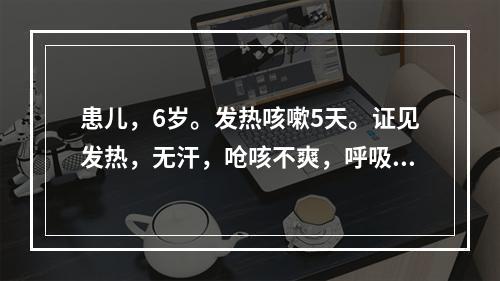 患儿，6岁。发热咳嗽5天。证见发热，无汗，呛咳不爽，呼吸气急