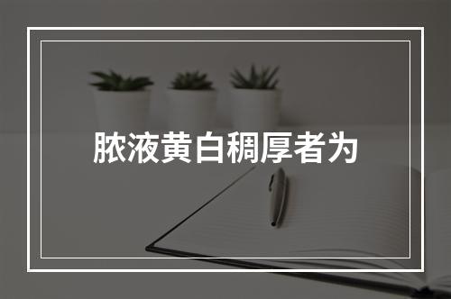 脓液黄白稠厚者为