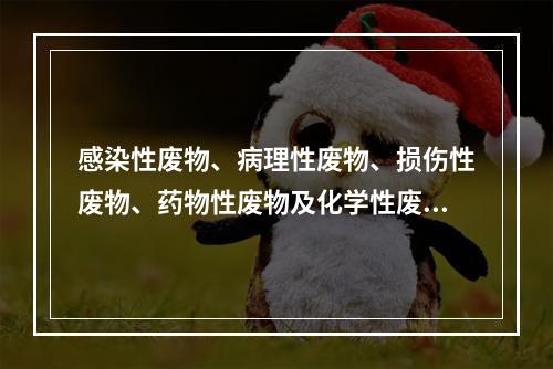 感染性废物、病理性废物、损伤性废物、药物性废物及化学性废物等