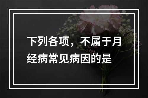 下列各项，不属于月经病常见病因的是