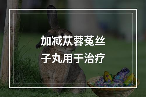 加减苁蓉菟丝子丸用于治疗