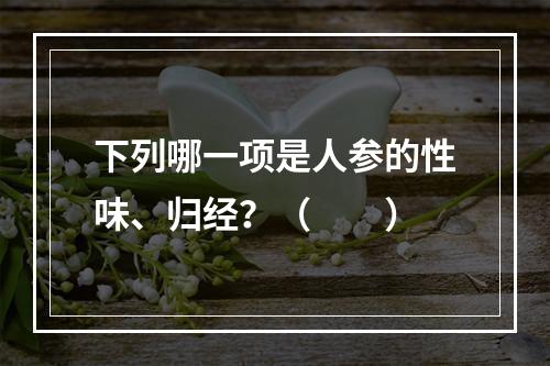 下列哪一项是人参的性味、归经？（　　）