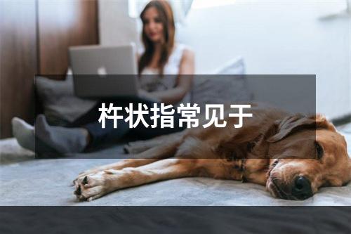 杵状指常见于