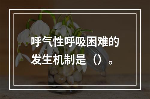 呼气性呼吸困难的发生机制是（）。