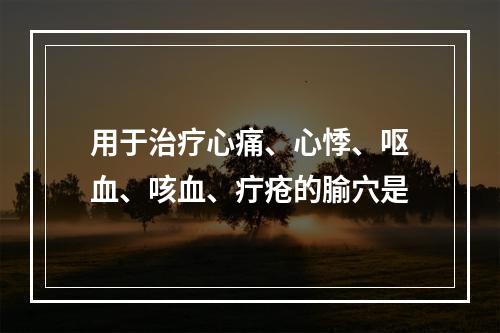 用于治疗心痛、心悸、呕血、咳血、疔疮的腧穴是