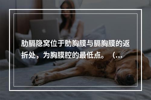 肋膈隐窝位于肋胸膜与膈胸膜的返折处，为胸膜腔的最低点。（）