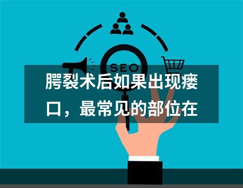 腭裂术后如果出现瘘口，最常见的部位在