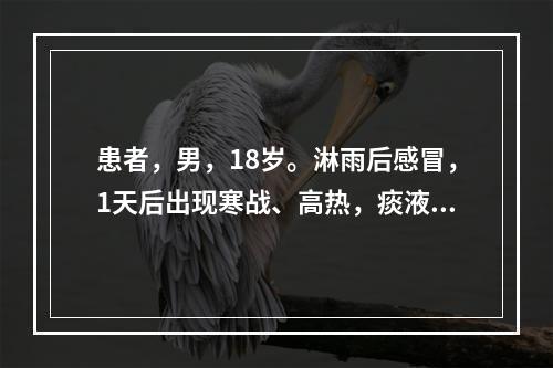 患者，男，18岁。淋雨后感冒，1天后出现寒战、高热，痰液为铁