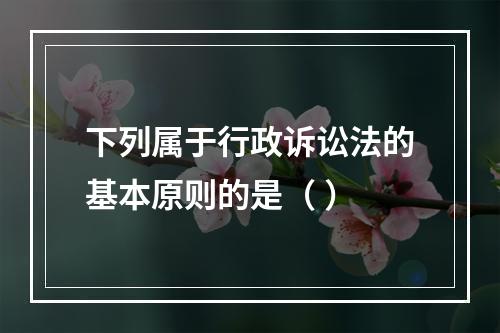 下列属于行政诉讼法的基本原则的是（ ）