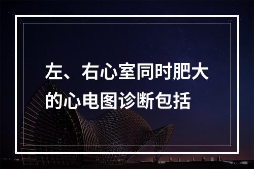 左、右心室同时肥大的心电图诊断包括