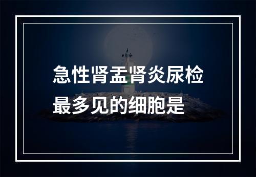 急性肾盂肾炎尿检最多见的细胞是