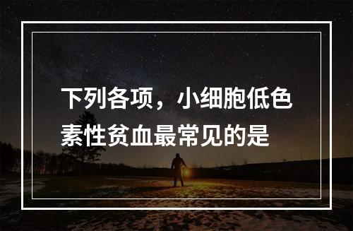 下列各项，小细胞低色素性贫血最常见的是