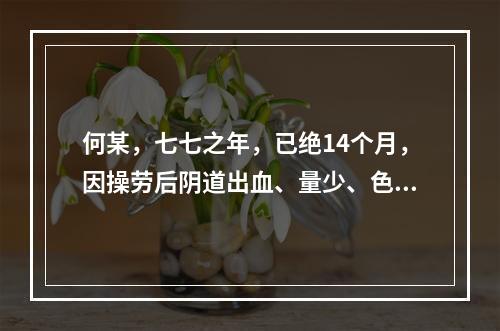 何某，七七之年，已绝14个月，因操劳后阴道出血、量少、色淡、