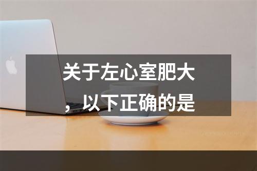 关于左心室肥大，以下正确的是