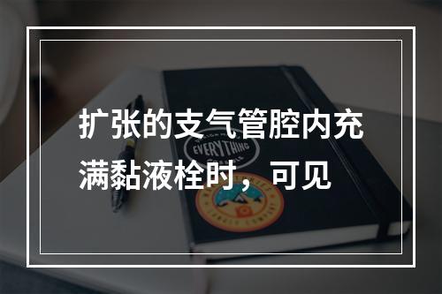 扩张的支气管腔内充满黏液栓时，可见