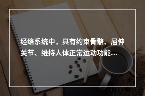 经络系统中，具有约束骨骼、屈伸关节、维持人体正常运动功能的是