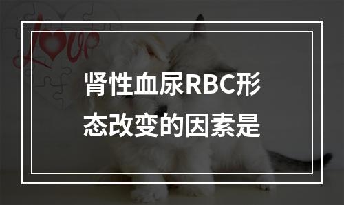 肾性血尿RBC形态改变的因素是