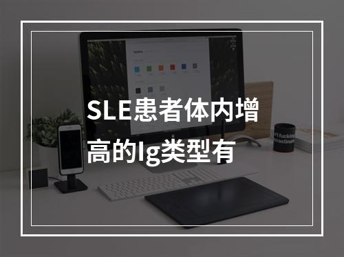 SLE患者体内增高的Ig类型有