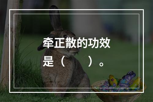 牵正散的功效是（　　）。