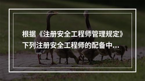 根据《注册安全工程师管理规定》下列注册安全工程师的配备中符合