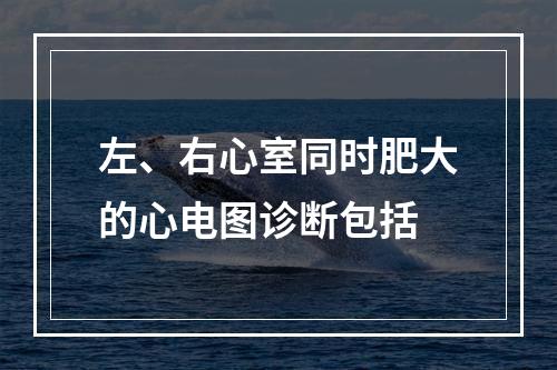 左、右心室同时肥大的心电图诊断包括