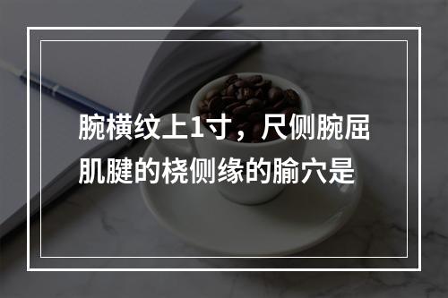 腕横纹上1寸，尺侧腕屈肌腱的桡侧缘的腧穴是