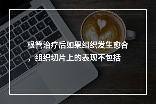 根管治疗后如果组织发生愈合，组织切片上的表现不包括