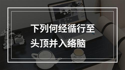 下列何经循行至头顶并入络脑