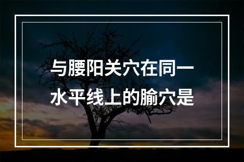 与腰阳关穴在同一水平线上的腧穴是