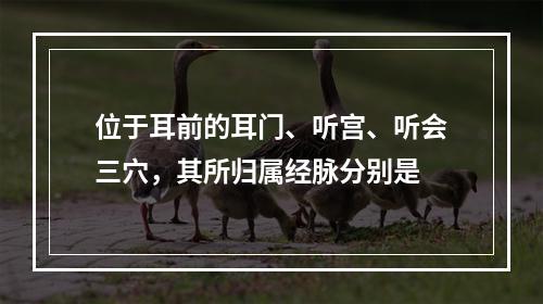 位于耳前的耳门、听宫、听会三穴，其所归属经脉分别是