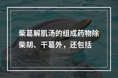 柴葛解肌汤的组成药物除柴胡、干葛外，还包括