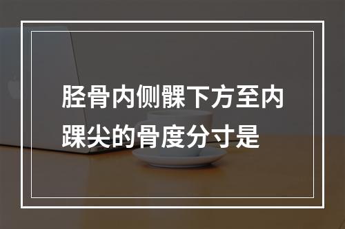 胫骨内侧髁下方至内踝尖的骨度分寸是