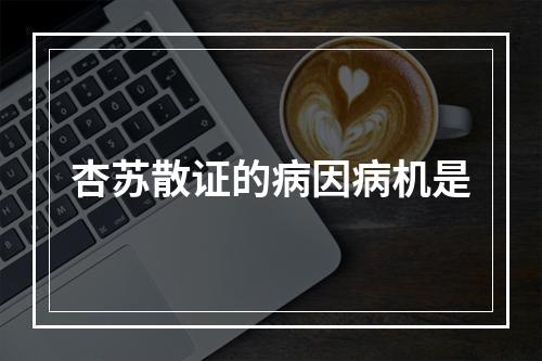 杏苏散证的病因病机是