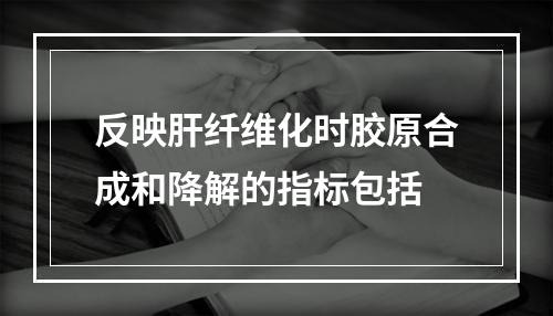 反映肝纤维化时胶原合成和降解的指标包括