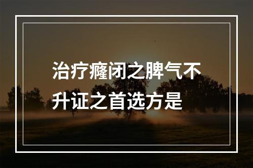 治疗癃闭之脾气不升证之首选方是