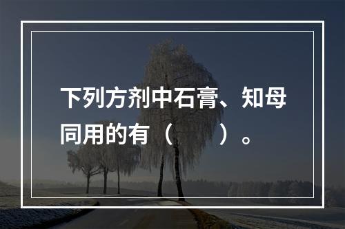 下列方剂中石膏、知母同用的有（　　）。