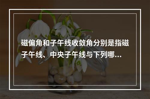 磁偏角和子午线收敛角分别是指磁子午线、中央子午线与下列哪项的