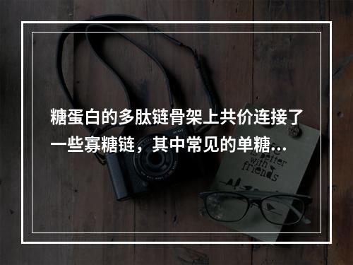 糖蛋白的多肽链骨架上共价连接了一些寡糖链，其中常见的单糖有7