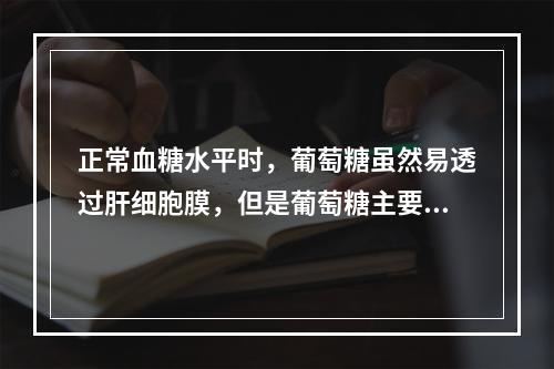 正常血糖水平时，葡萄糖虽然易透过肝细胞膜，但是葡萄糖主要在肝